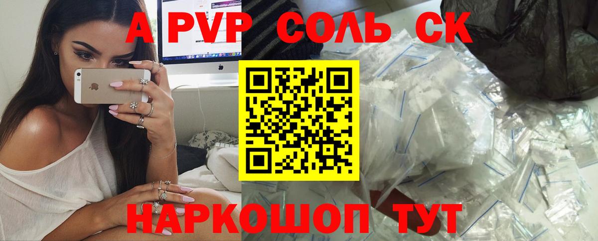 Альфа ПВП СК КРИС Курчалой