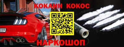 крисы Славгород