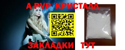 крисы Славгород
