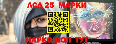 крисы Славгород