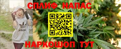 индика Славянск-на-Кубани