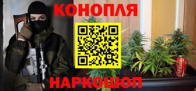 крисы Славгород