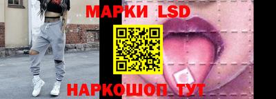 крисы Славгород