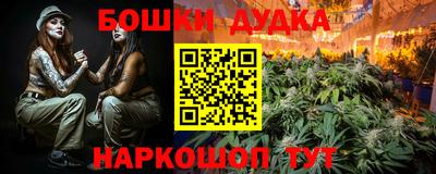 МДПВ Сланцы