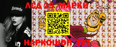 крисы Славгород