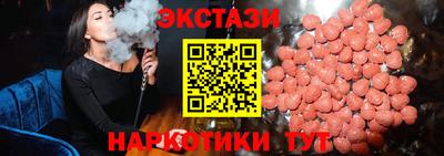крисы Славгород