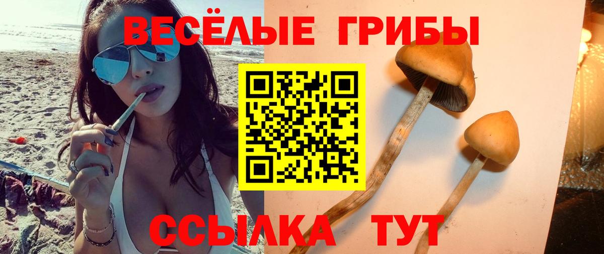 Псилоцибиновые грибы Cubensis  Псилоцибиновые грибы мицелий  Вход с VPN  Курчалой 
